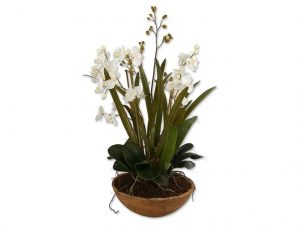 Uttermost Accessories Moth Orchid Planter Botanicals 60039