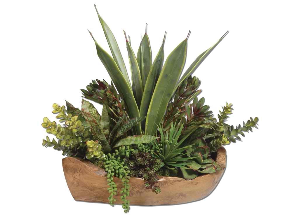 The Accessories Uttermost Salar Succulents In Teak Bowl 60119 will make the guest room more interesting and homey. 
